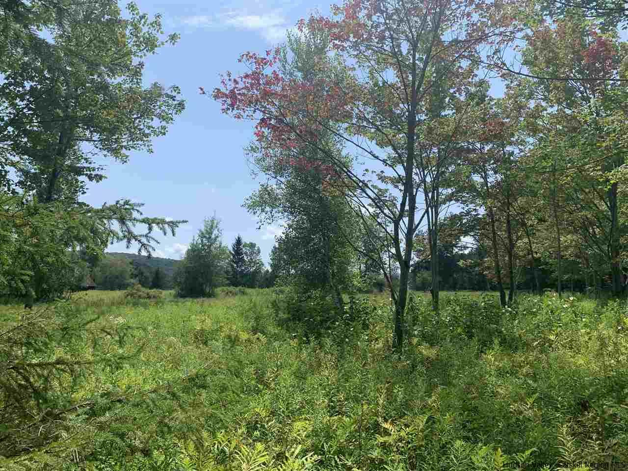 Tbd Tbd Brush Ridge Fleischmanns, NY 12430 - Photo 6 of 11 Photo 7