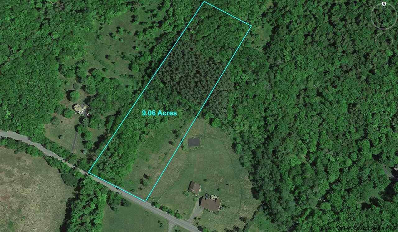 Tbd Tbd Brush Ridge Fleischmanns, NY 12430 - Photo 7 of 11 Photo 8