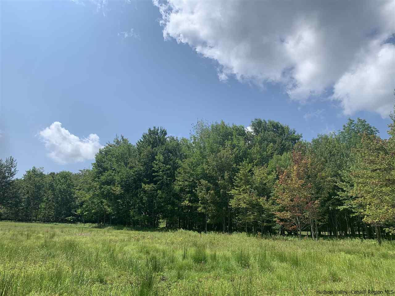 Tbd Tbd Brush Ridge Fleischmanns, NY 12430 - Photo 9 of 11 Photo 10