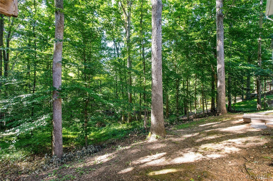 7560 Valencia Road Chesterfield, VA 23832 - Photo 26 of 26 a view of a tree in a garden
