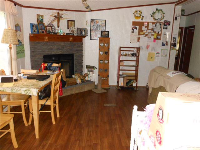 213 Big Spring Hollow Road Pulaski, TN 38478 - Photo 3 of 12