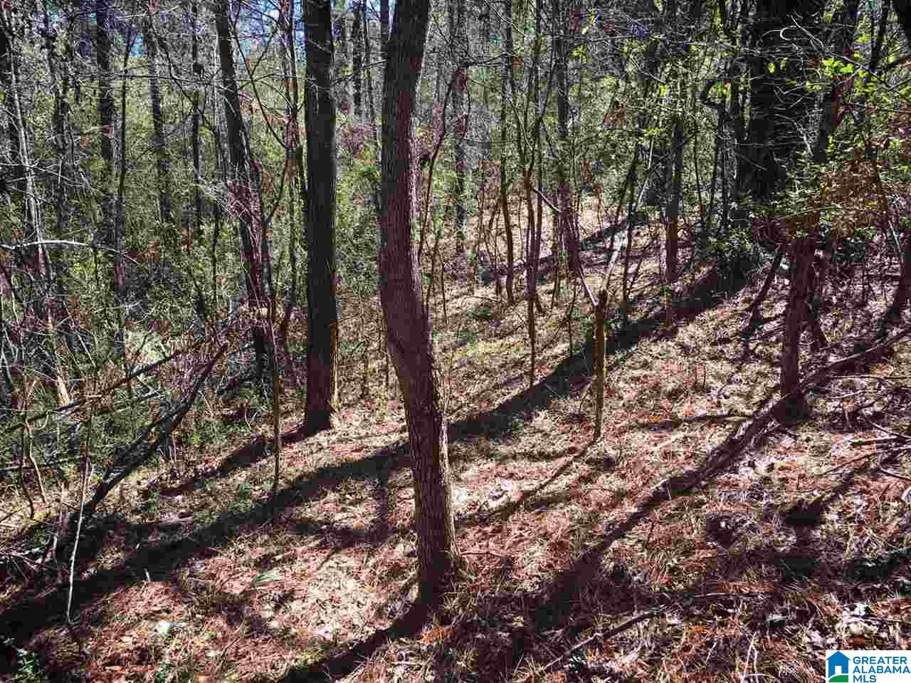 8163 Lock 17 Road Bessemer, AL 35023 - Photo 26 of 34 Gallery Image 26