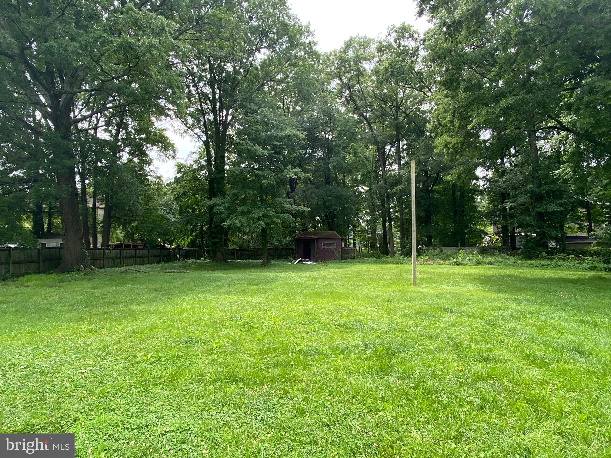 7804 Schelhorn Road Alexandria, VA 22306 - Photo 3 of 30 Expansive Backyard