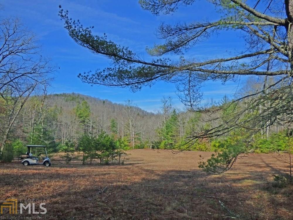 Lot 5 Doublehead Gap Road Blue Ridge, GA 30513 - Photo 1 of 1 Gallery Image 1