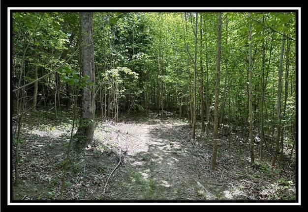 167 Weaver Road, Unit TRACT A) Chillicothe, OH 45601 - Photo 18 of 45 image018
