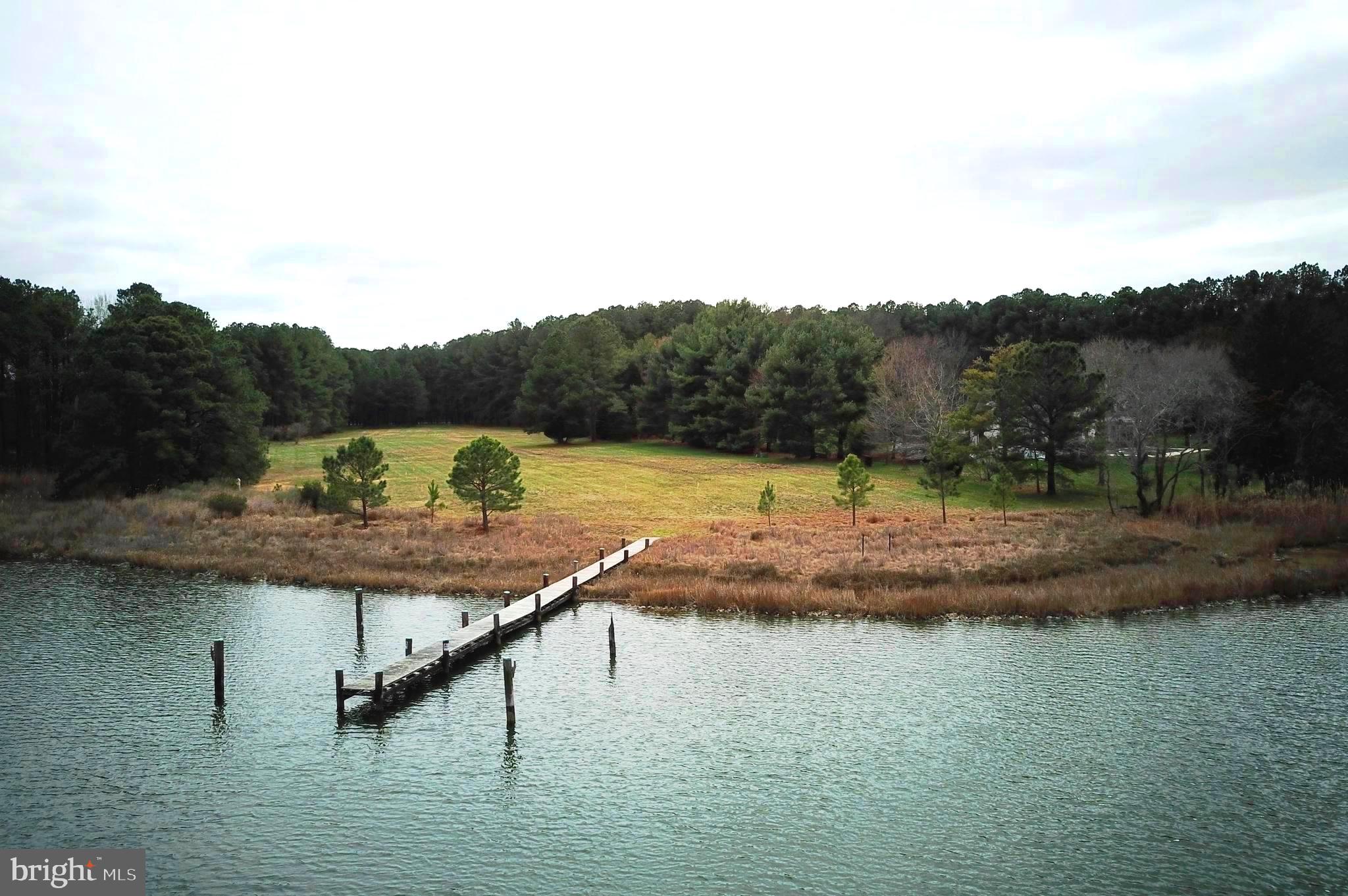 8260 Trice Field Road St. Michaels, MD 21663 - Photo 1 of 29