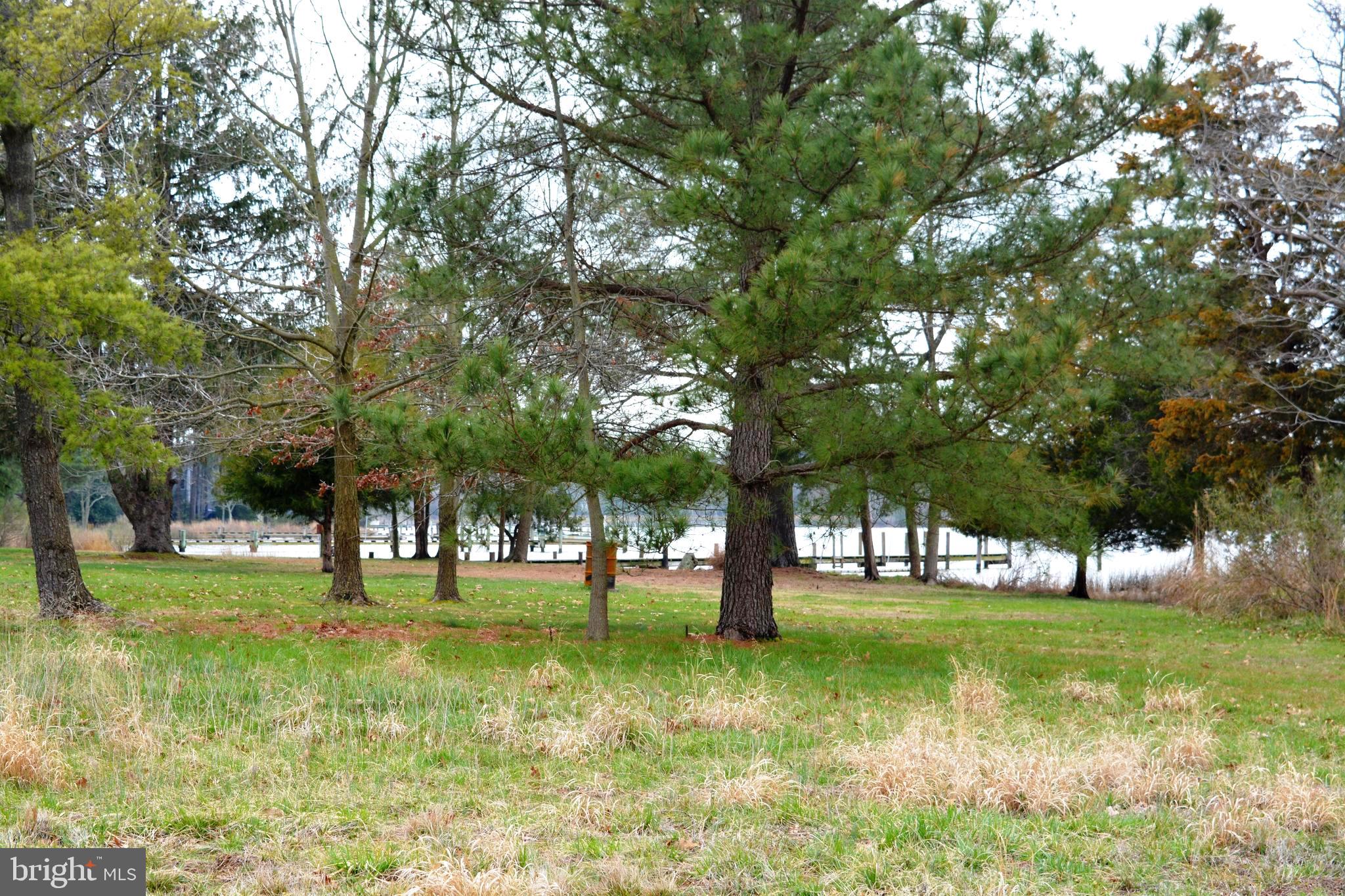 8260 Trice Field Road St. Michaels, MD 21663 - Photo 15 of 29