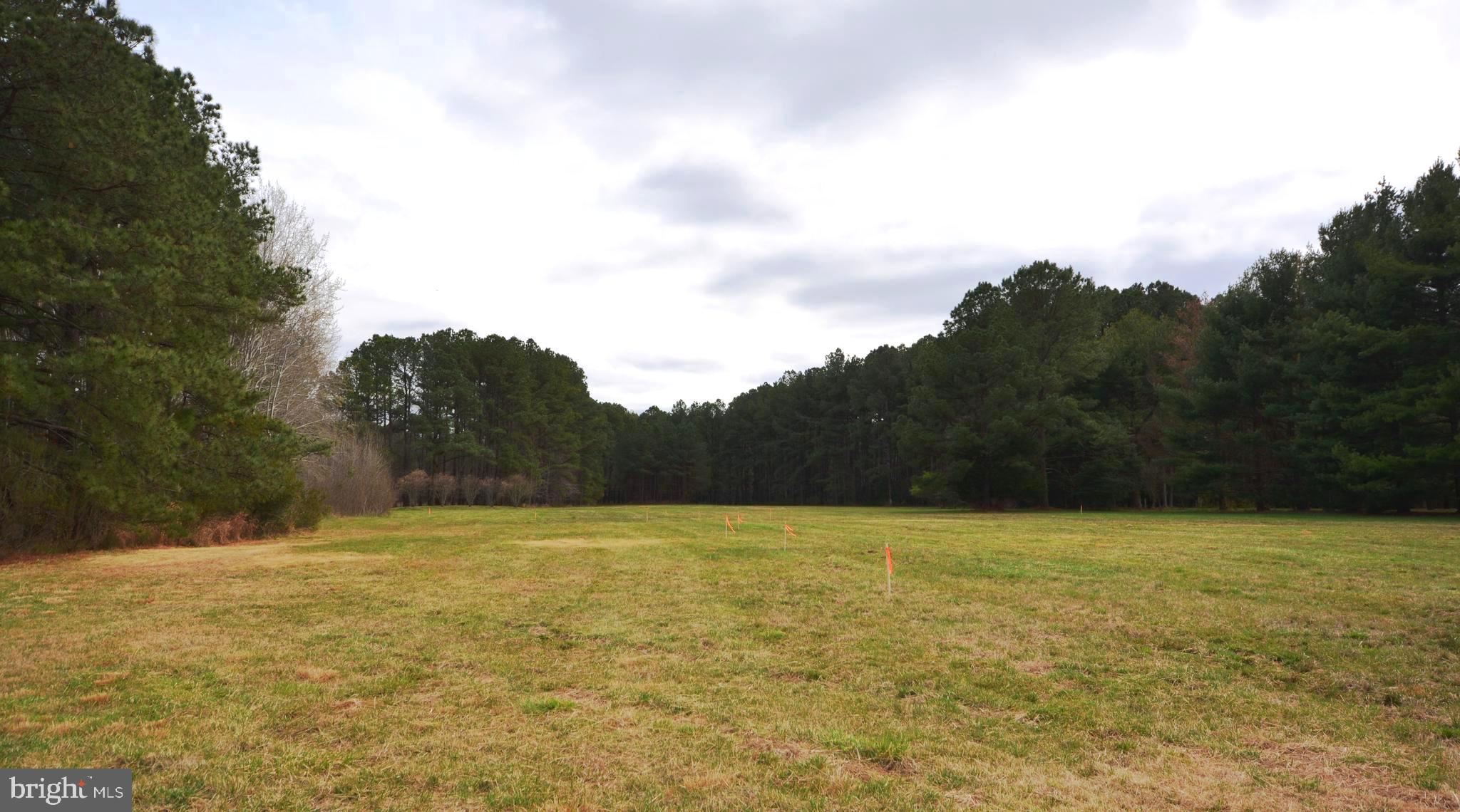 8260 Trice Field Road St. Michaels, MD 21663 - Photo 17 of 29