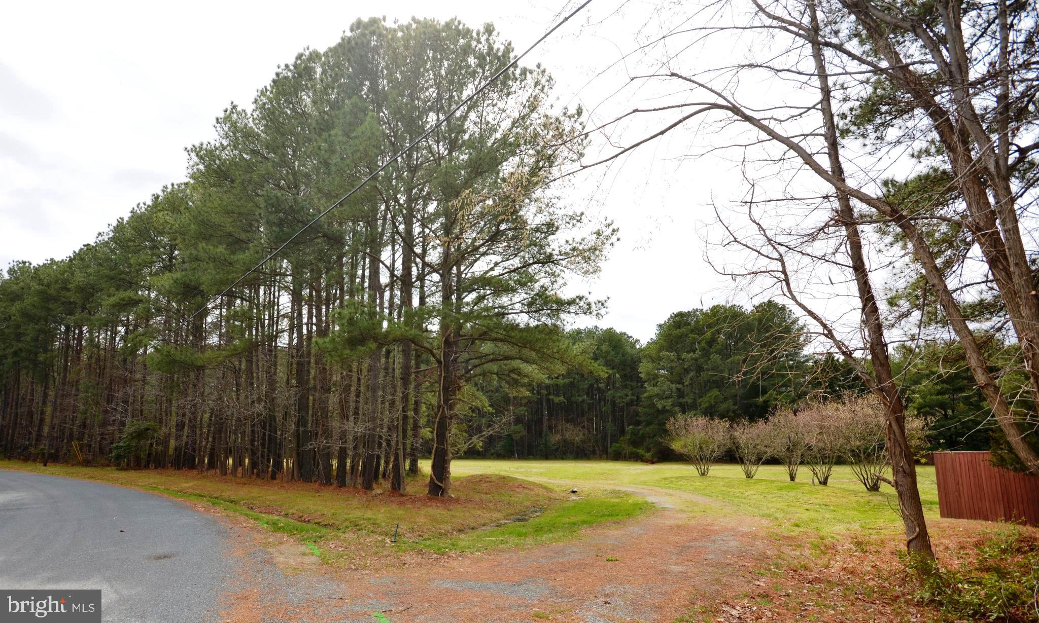 8260 Trice Field Road St. Michaels, MD 21663 - Photo 6 of 29