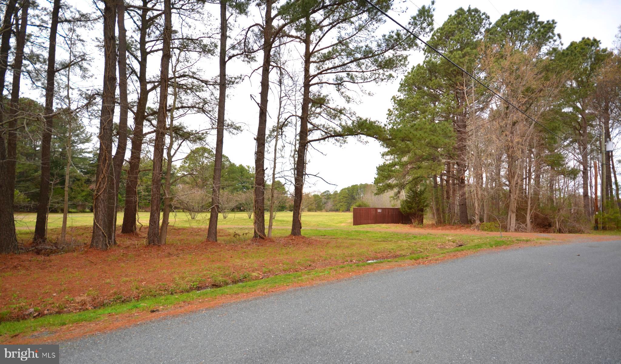 8260 Trice Field Road St. Michaels, MD 21663 - Photo 7 of 29