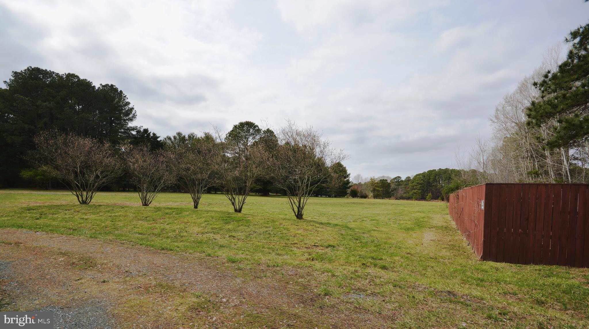 8260 Trice Field Road St. Michaels, MD 21663 - Photo 8 of 29