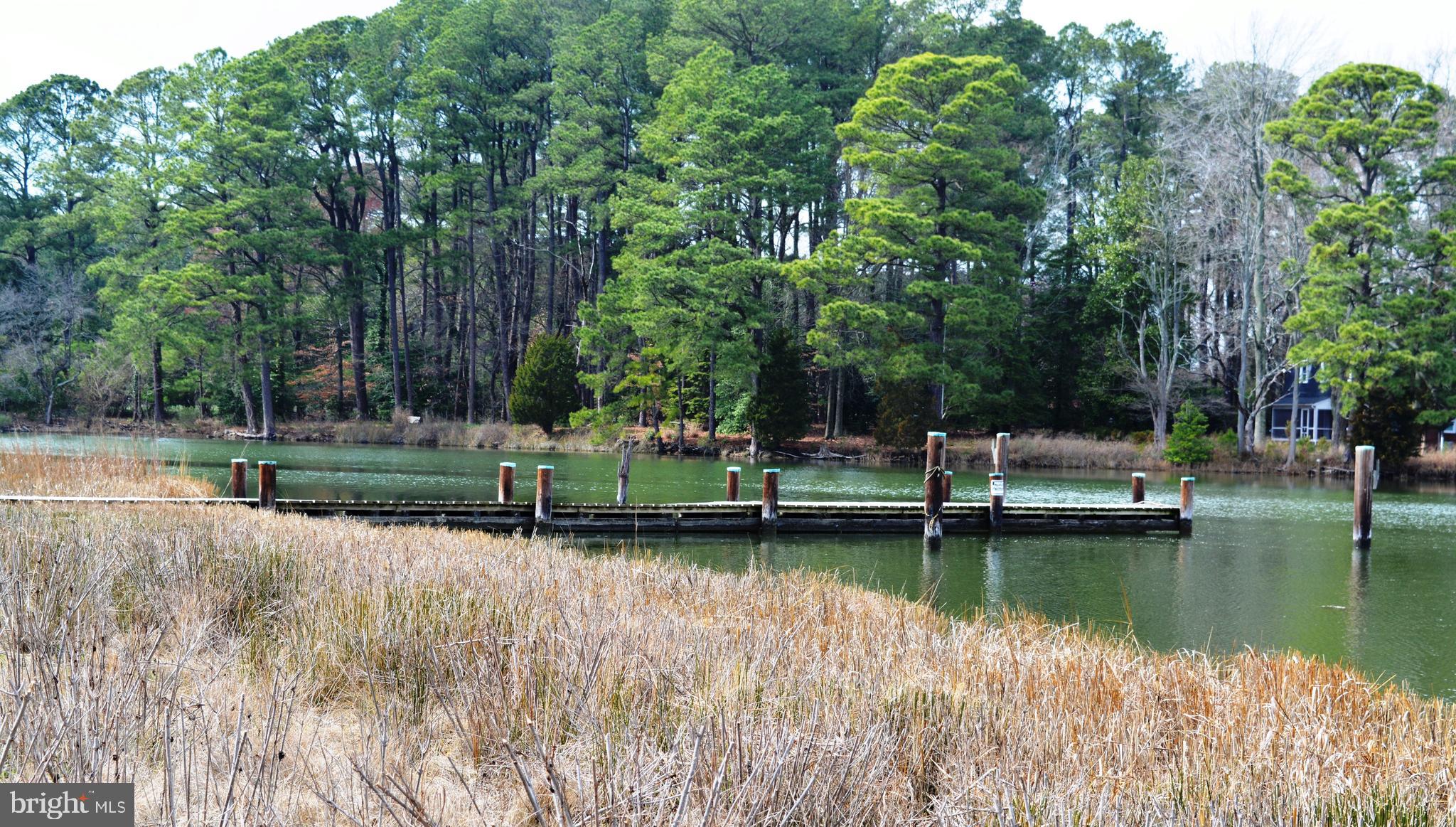 8260 Trice Field Road St. Michaels, MD 21663 - Photo 9 of 29