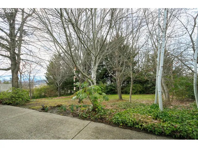 a view of outdoor space with deck and tree