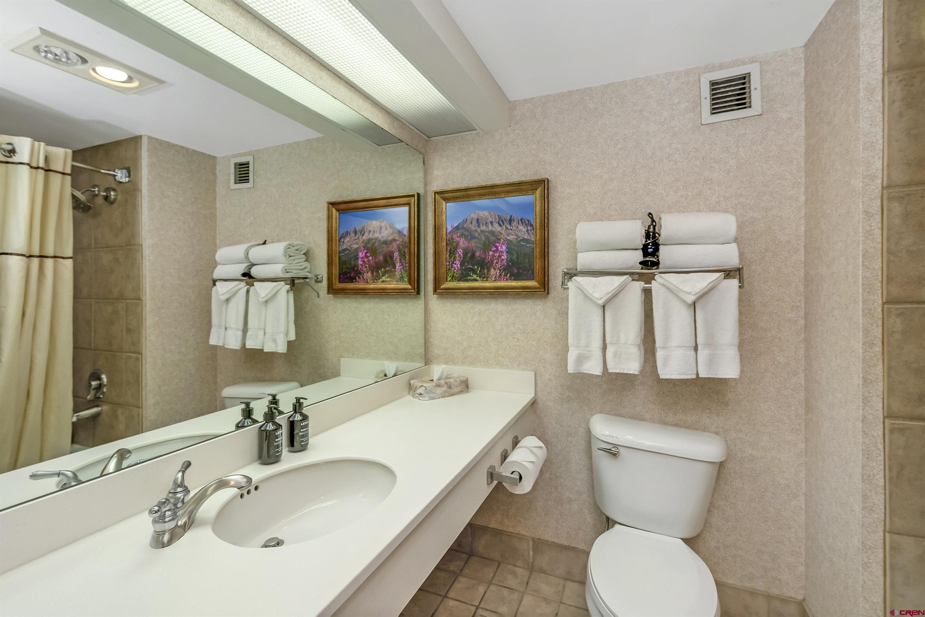 6 Emmons Road, Unit 257 Crested Butte, CO 81225 - Photo 12 of 28 Gallery Image 12