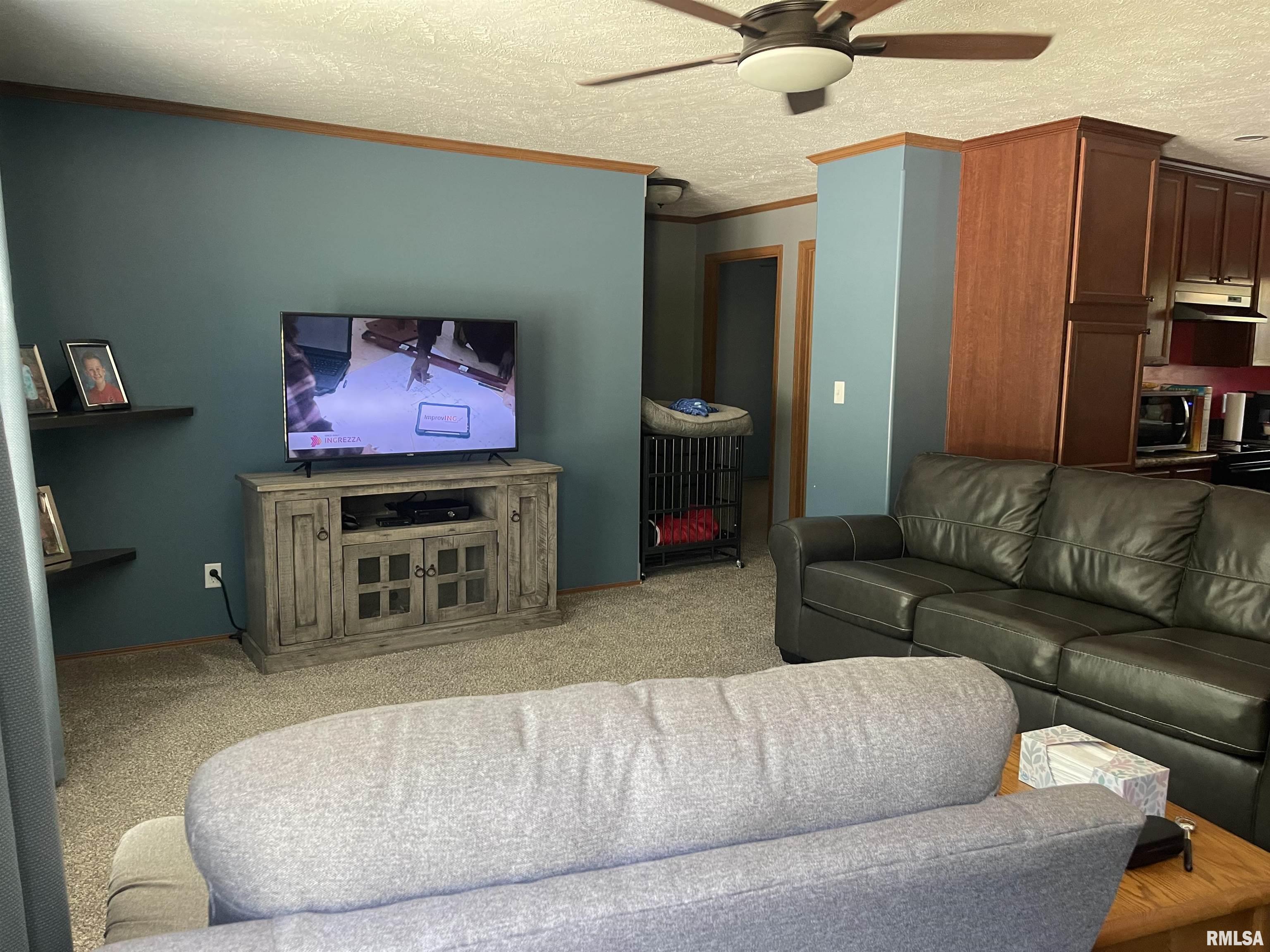 9230 Herrin Road Johnston City, IL 62951 - Photo 8 of 29 Gallery Image 8