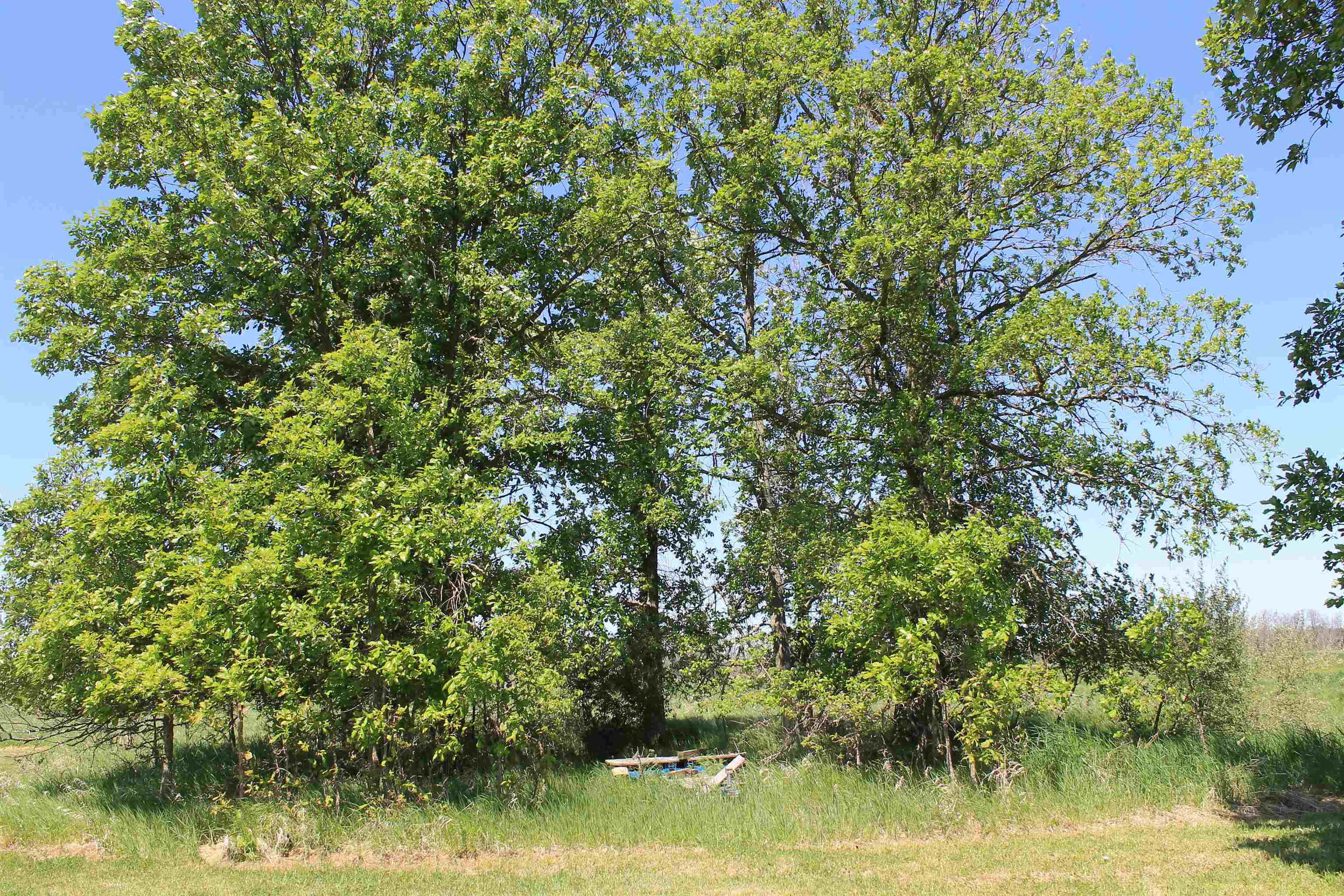 W1122 County Rd D Berlin, WI 54923 - Photo 63 of 69