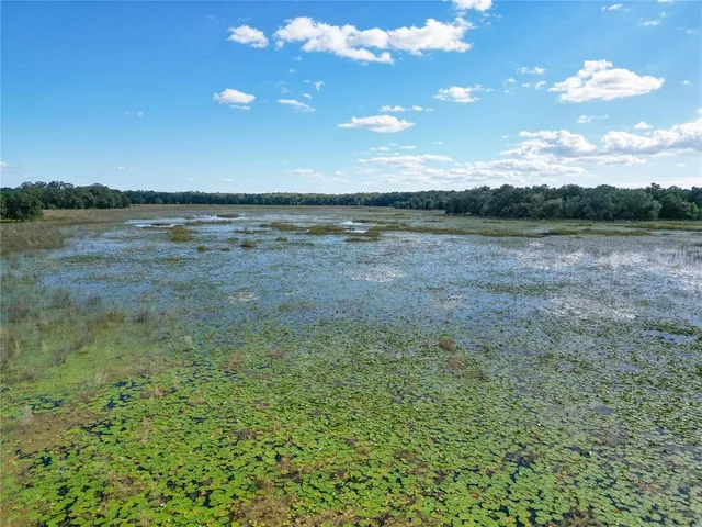 a view of a yard with an outdoor space