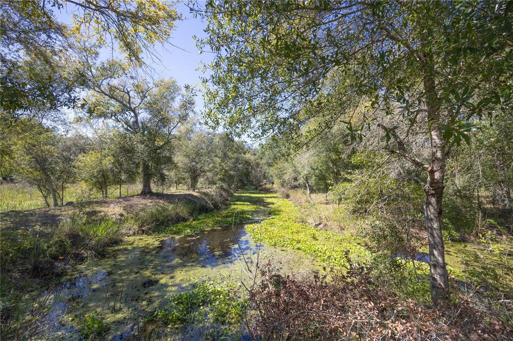 673 Webster Webster, FL 33597 - Photo 16 of 69