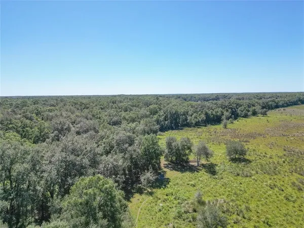 a view of a field with an ocean