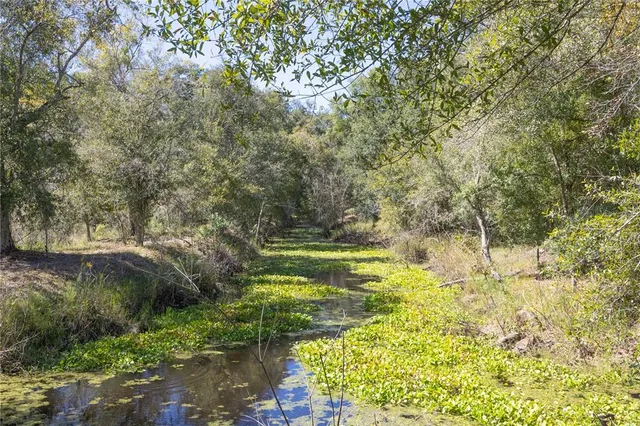 a view of outdoor space and yard
