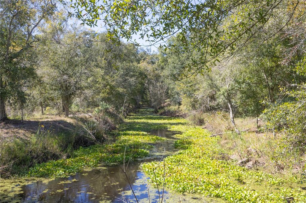 673 Webster Webster, FL 33597 - Photo 30 of 69