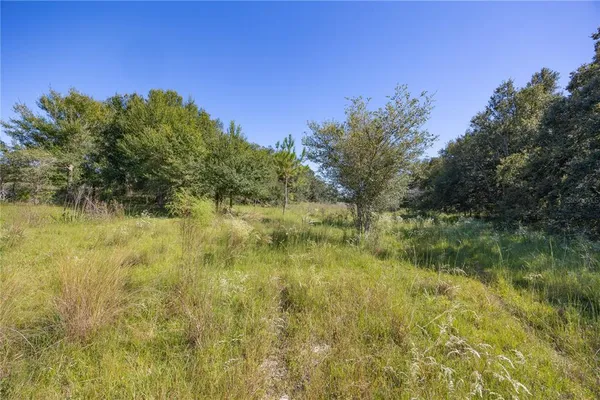 a view of a field with an ocean