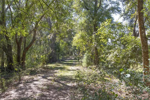 a view of a yard with a tree
