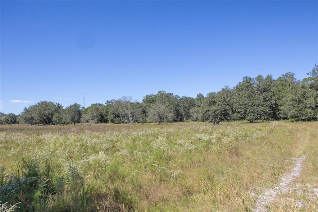 673 Webster Webster, FL 33597 - Photo 47 of 69 a view of an outdoor space and a yard