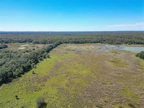 a view of a back yard