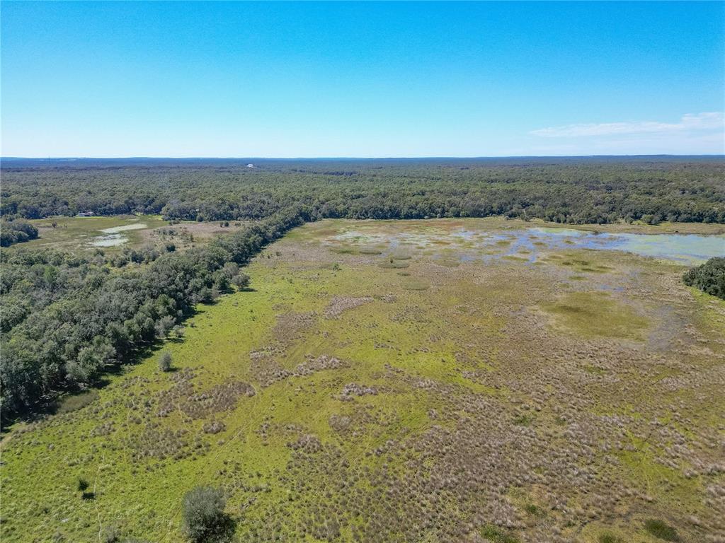 673 Webster Webster, FL 33597 - Photo 50 of 69