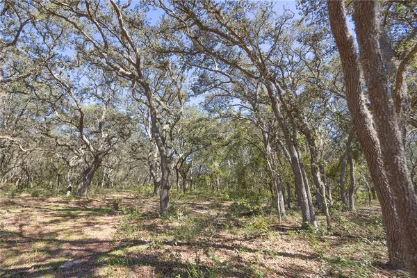 $2,999,999 | 673 Webster, Webster, FL 33597