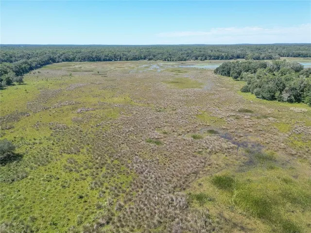 $2,999,999 | 673 Webster, Webster, FL 33597