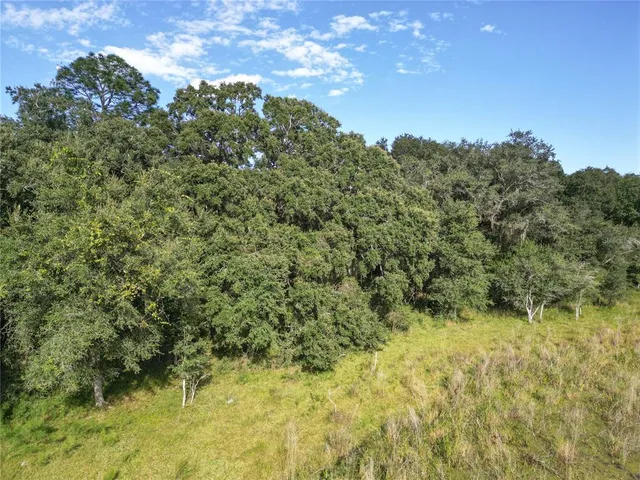 $2,999,999 | 673 Webster, Webster, FL 33597