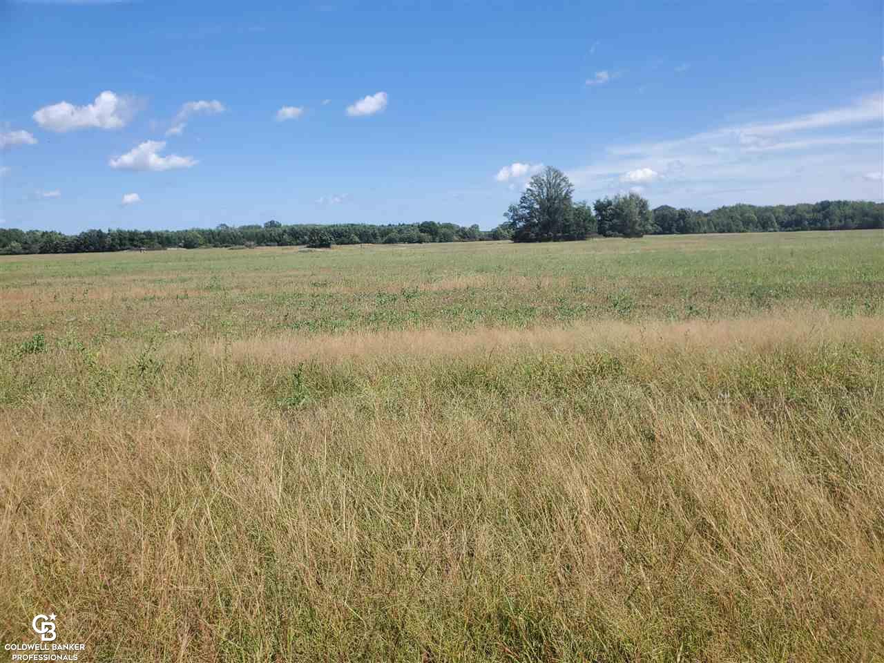 Brockway Road East Yale, MI 48097 - Photo 5 of 9 50082798-4.JPG