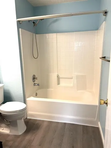 a bathroom with a toilet and a bathtub