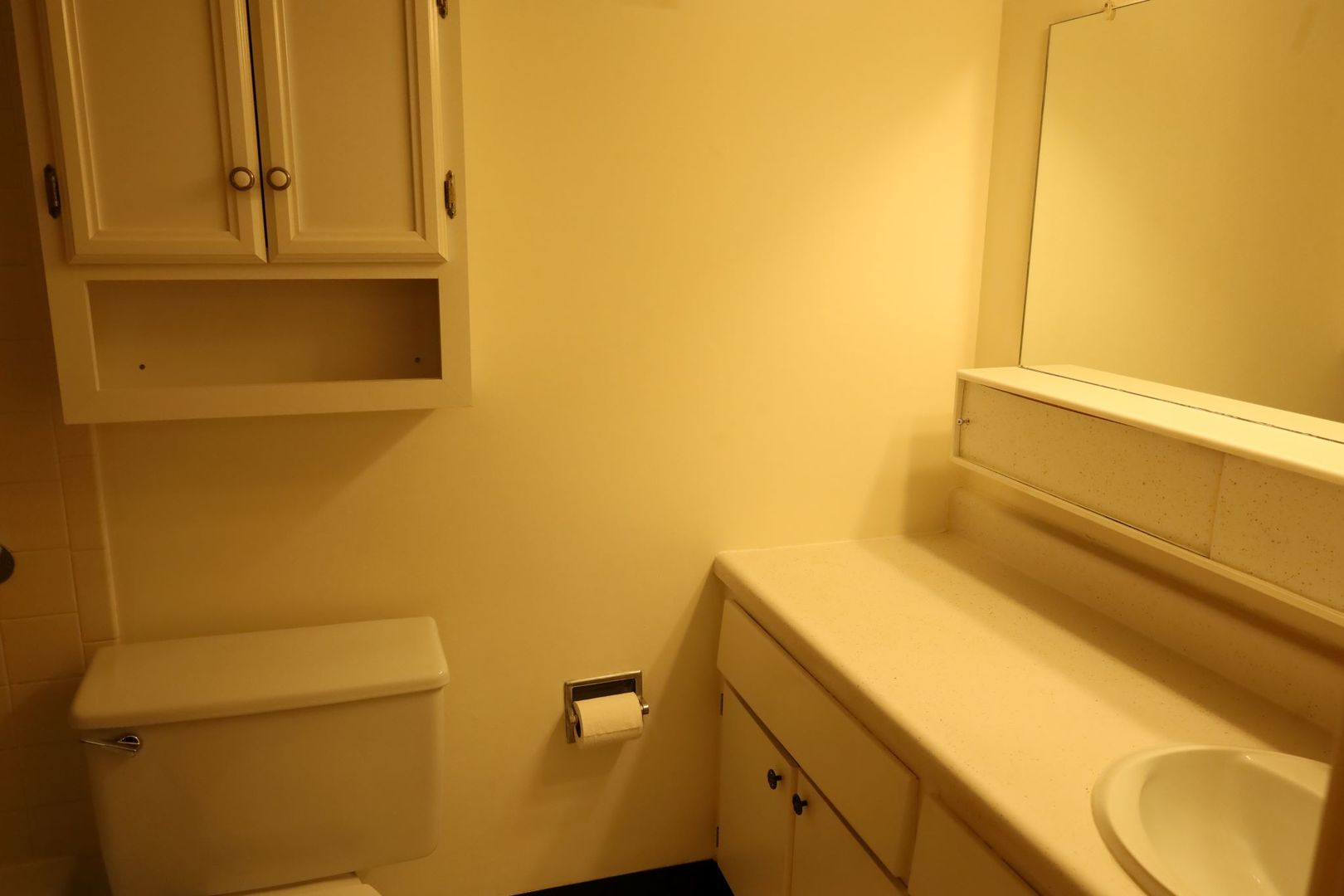 9820 South Pulaski Road, Unit 223 Oak Lawn, IL 60453 - Photo 21 of 25 Gallery Image 21