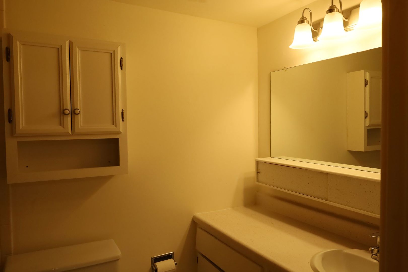 9820 South Pulaski Road, Unit 223 Oak Lawn, IL 60453 - Photo 23 of 25 Gallery Image 23