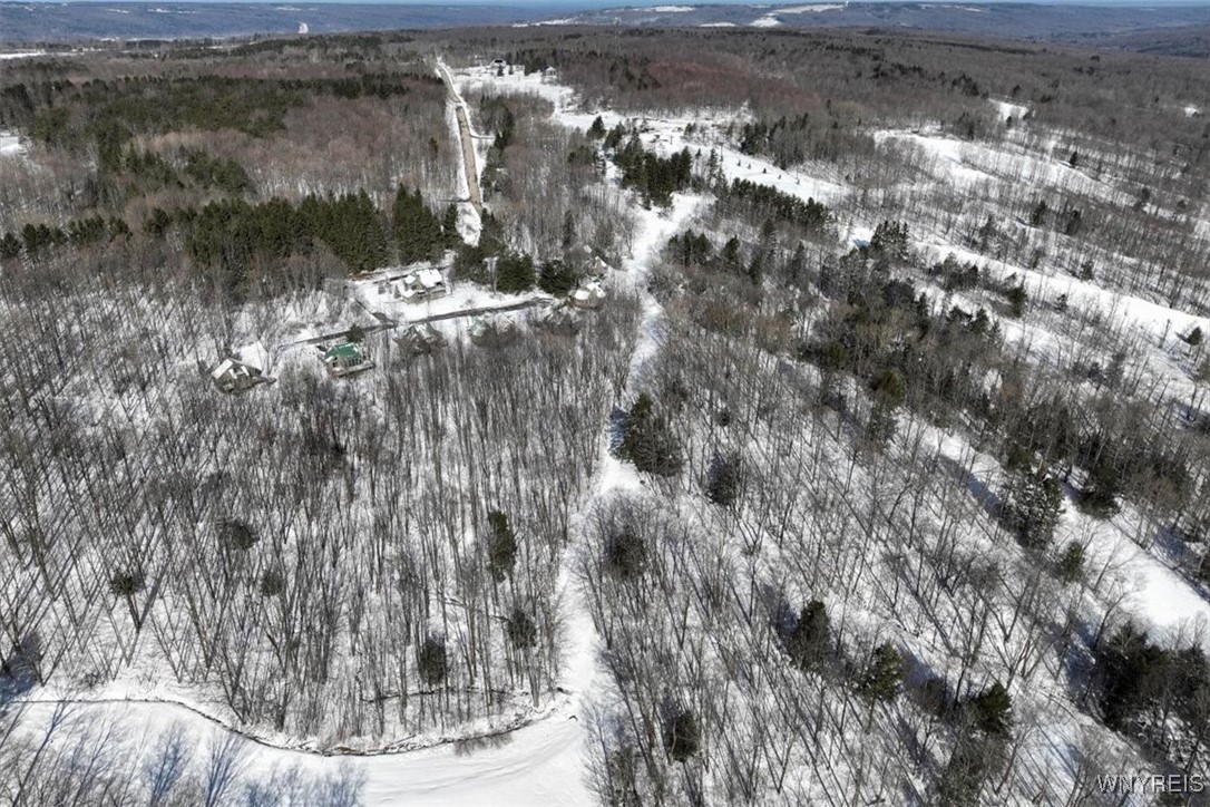 8820 Abbott Hill Road Concord, NY 14025 - Photo 11 of 13