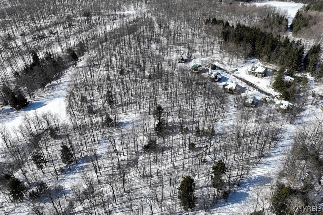 8820 Abbott Hill Road Concord, NY 14025 - Photo 12 of 13