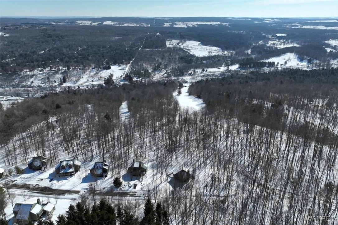 8820 Abbott Hill Road Concord, NY 14025 - Photo 5 of 13