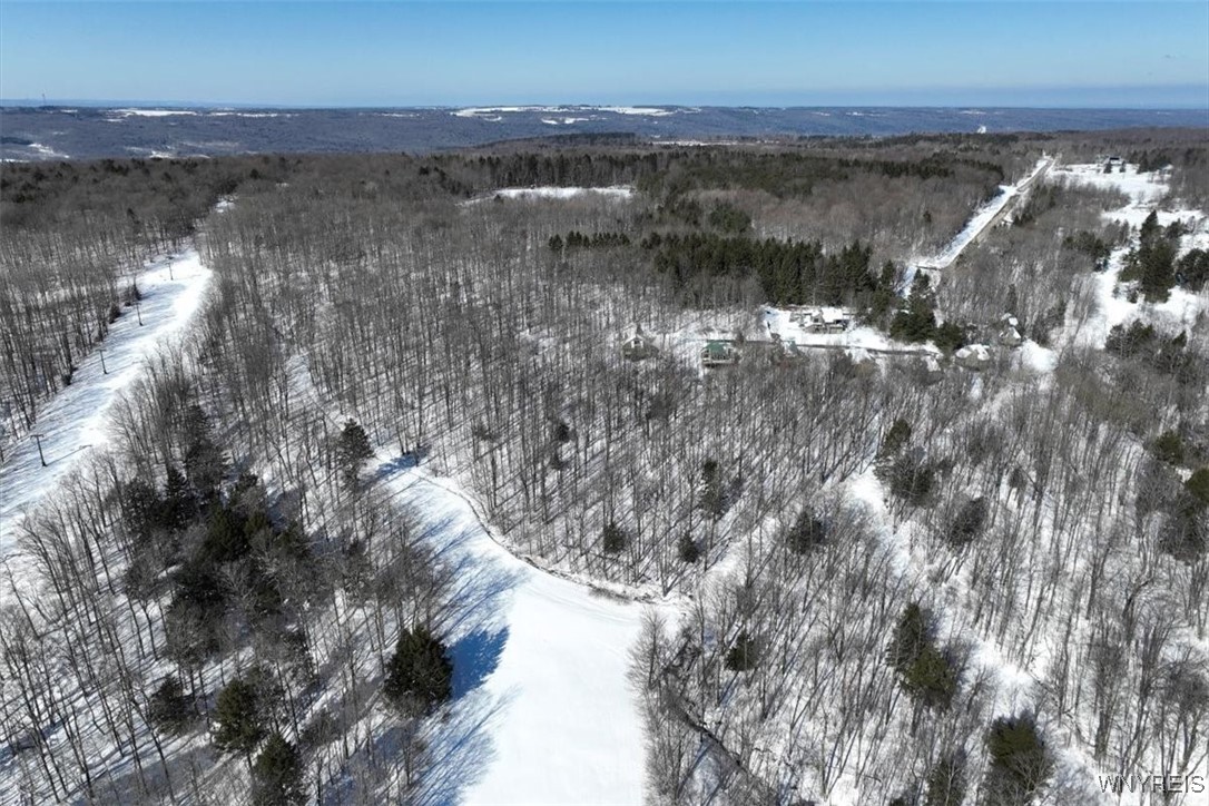 8820 Abbott Hill Road Concord, NY 14025 - Photo 6 of 13