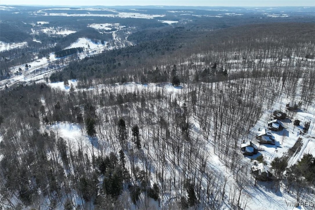 8820 Abbott Hill Road Concord, NY 14025 - Photo 7 of 13