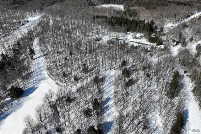 $375,000 | 8820 Abbott Hill Road, Concord, NY 14025