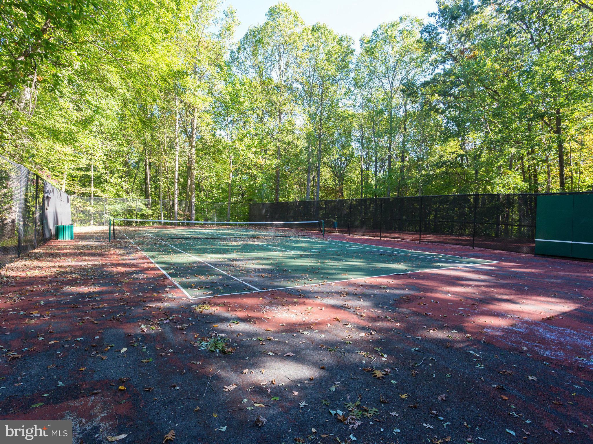 8114 Colony Point Road, Unit 235 Springfield, VA 22152 - Photo 15 of 16 Community