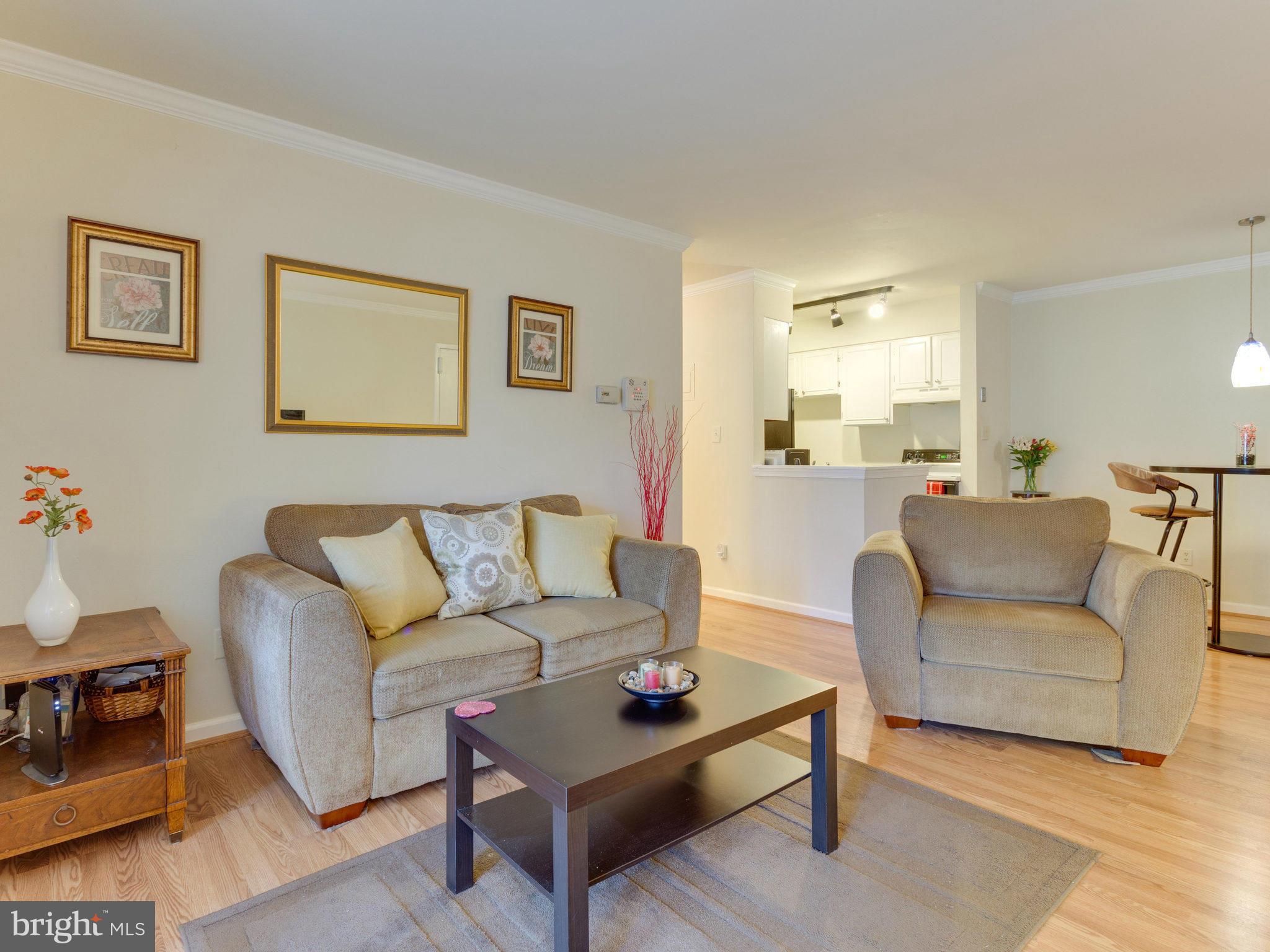 8114 Colony Point Road, Unit 235 Springfield, VA 22152 - Photo 6 of 16 Living Room
