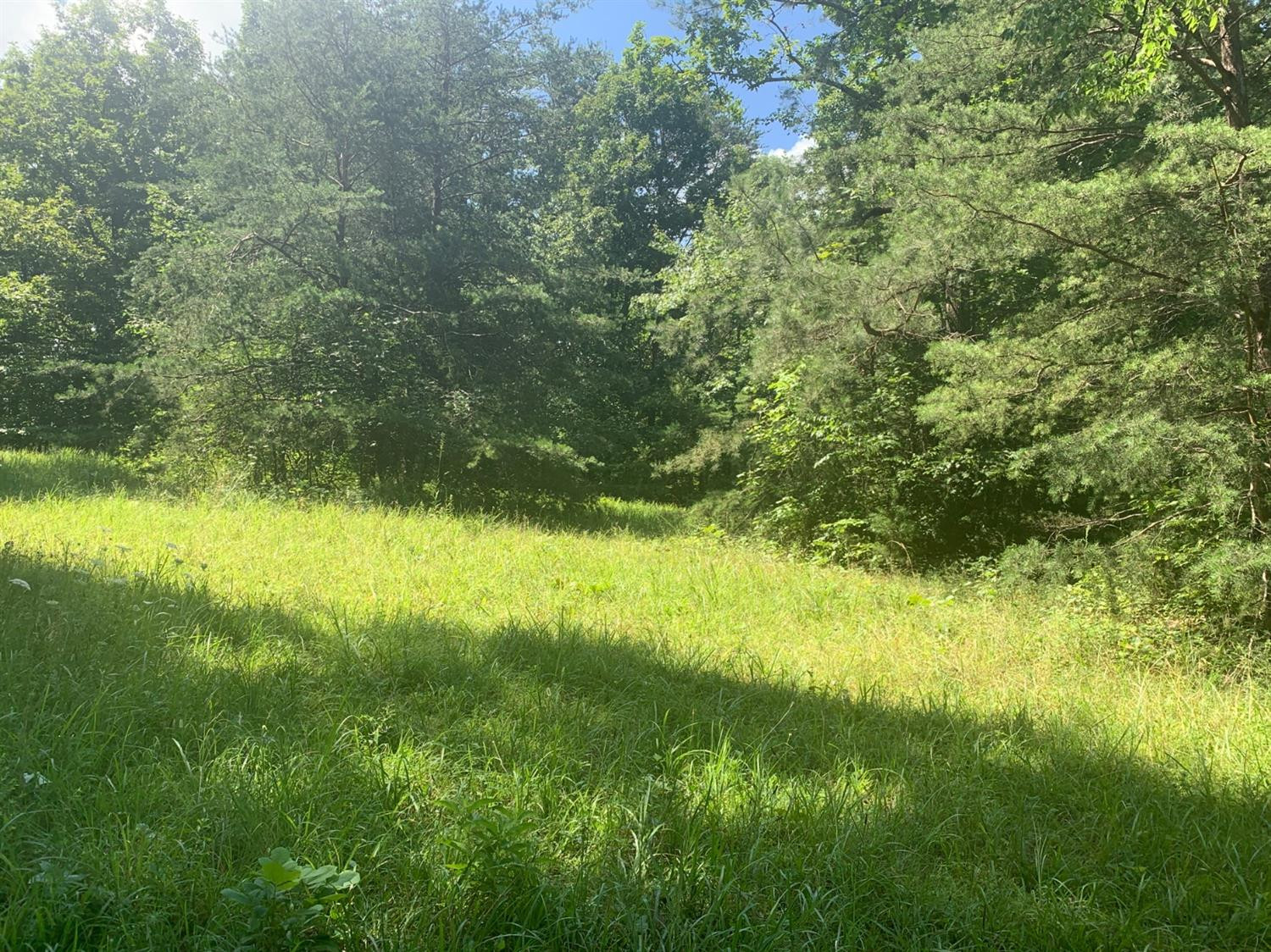 881 Bee Creek Road Corbin, KY 40701 - Photo 38 of 40 Photo 39
