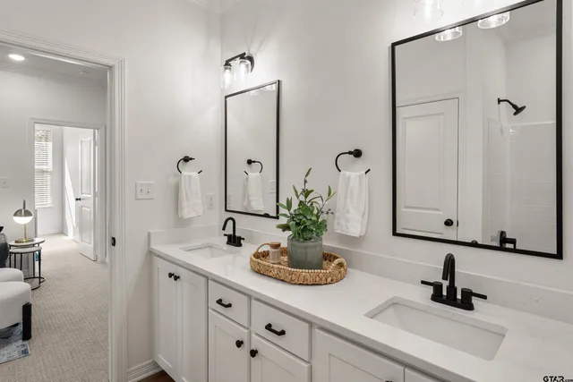 a bathroom with a sink and a shower