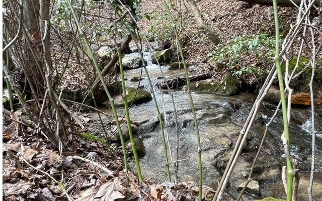 221 Sagewood Trail Murphy, NC 28906 - Photo 2 of 33 Additional View