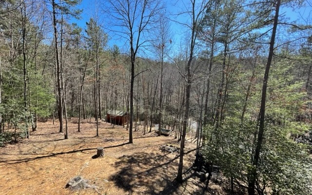 221 Sagewood Trail Murphy, NC 28906 - Photo 4 of 33 Additional View