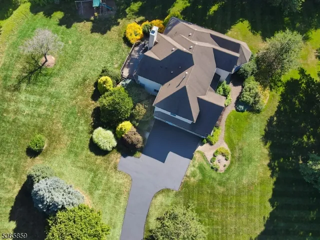 a view of a flower in a garden